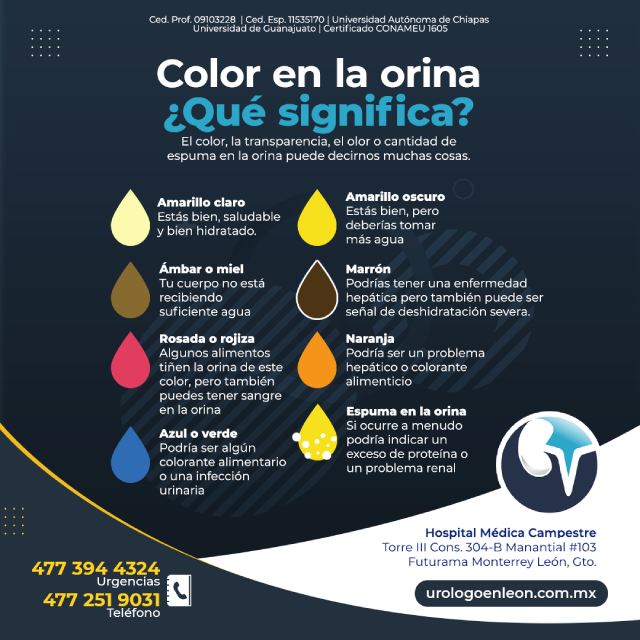 Color en la orina ¿Qué significa?