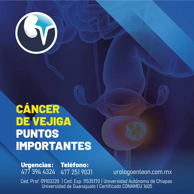 Cáncer de vejiga